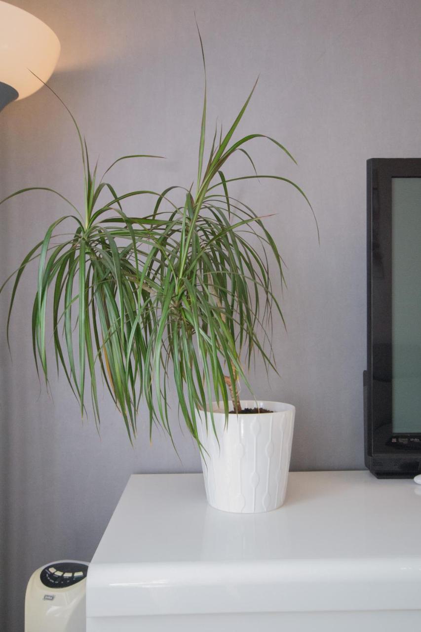 Spot'In - Dijon Milsand Apartment Exterior foto
